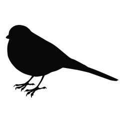 Hand drawn vector silhouette of standing azure tit isolated on white background. Black and white  stock illustration of wild bird.