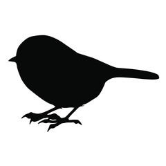 Hand drawn vector silhouette of standing Willow tit isolated on white background. Black and white  stock illustration of wild bird.