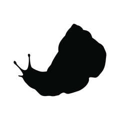 Hand drawn vector of snail isolated on white background. Black and white  stock illustration of animal silhouette.