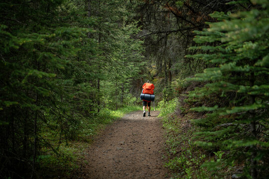 Man Hiking With Camping Gear On Trail Among Trees In Woods