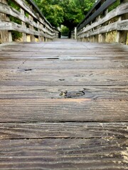 wooden bridge in the forest
