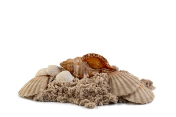 Seashells and sand isolated on white background.