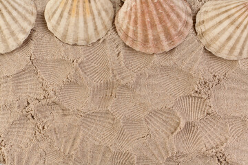 Sand and seashells background for design. Empty space. Texture background from kinetic sand.