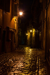 Scene of a cobblestoned street in the historic center of Rovinj in Croatia during night