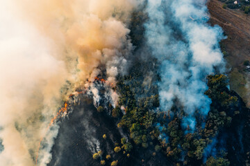 Fire in nature with smoke, aerial view from drone. Burning dry grass and trees. Natural disaster.