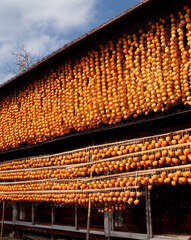 ころ柿のすだれ