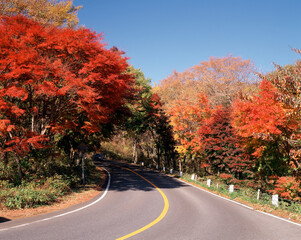 日塩もみじラインの紅葉