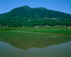 Obraz premium 春の筑波山麓