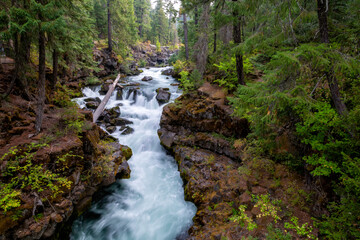 Rushing stream in Crater Lake National Park 