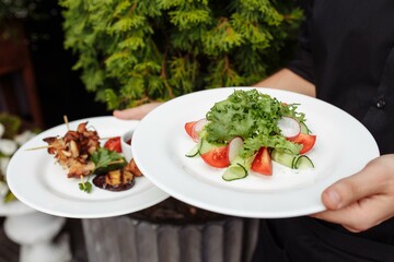 Grilled chicken and salad in the hand of the waiter