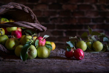 .seasonal apples in the old cellar