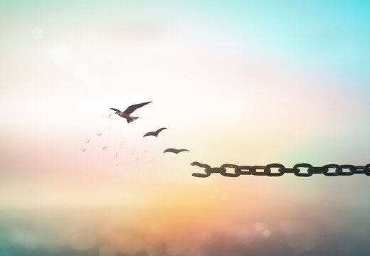 Individual human right day concept: Silhouette of bird flying and broken chains over blurred sunrise background