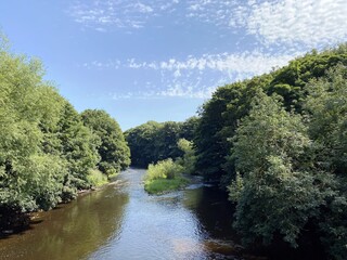Fototapeta na wymiar The river Aire, as it flows through Calverley, with tree lined banks, and a blue sky above in, Calverley, Leeds, UK