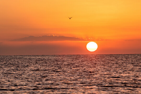 Schleswig-Holstein, Ostseek&uuml;ste, Rettin. Morgenstimmung am Strand von Rettin