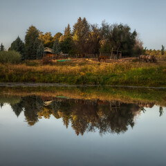 Meander