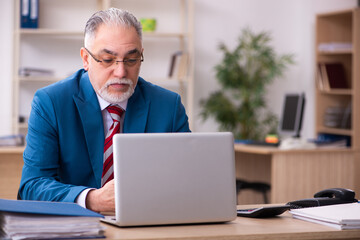 Old male employee working in the office