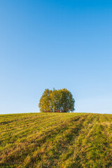 Fototapeta na wymiar Beautiful landscape, a large green field.