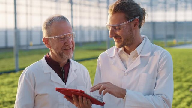 Agronomist with professional farmer using digital tablet making successful plans of cultivation and smiling excitedly. Proud workers. Successful. Agriculture. Greenhouse.