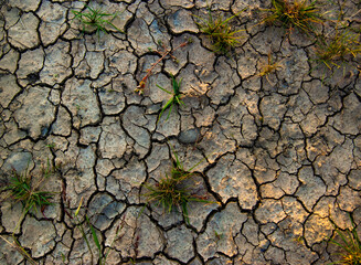 dry cracked earth, summer heat at golden hour