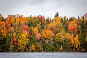 Peak foliage at a lake in the Adirondacks.  - 382024842
