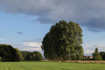 Outdoor sunny view of green agricultural field, meadow and trees against partly cloudy sky with light beam in countryside area in Germany.