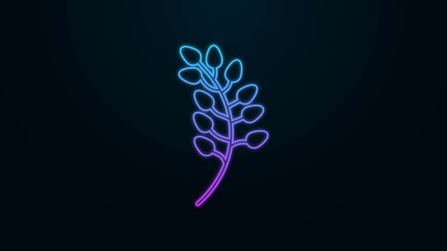 Glowing neon line Willow leaf icon isolated on black background. 4K Video motion graphic animation