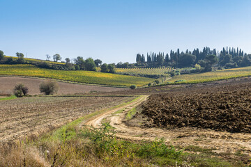 Autumn landscape in Tuscany, Italy, with a dirt winding road, plowed field and cypresses