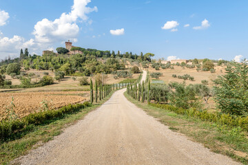 Fototapeta na wymiar Road to Palazzo Massaini past fields and cypresses in Tuscany, Italy