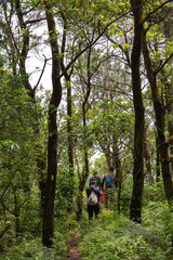 Traveller in the forest. Trekking is very popular in Vietnam