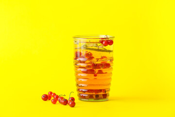 Glass of fresh mojito cocktail with red currant on color background