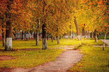 Beautiful autumn park, paths among yellow trees in the sunshine