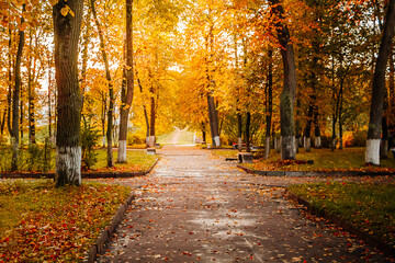 Fototapeta na wymiar Beautiful autumn park, paths among yellow trees in the sunshine