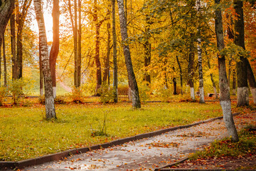 Naklejka na ściany i meble Beautiful autumn park, paths among yellow trees in the sunshine