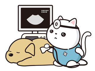 エコー検査　猫と犬　動物病院