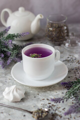 lavender tea in a white mug. Purple tea in a mug on a light background stands on the table next to lavender flowers. Dried lavender flowers are brewed in a Cup.