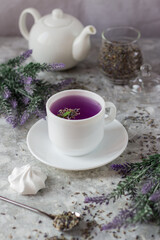 lavender tea in a white mug. Purple tea in a mug on a light background stands on the table next to lavender flowers. Dried lavender flowers are brewed in a Cup.