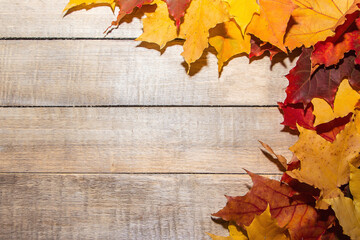 Naklejka na ściany i meble Colorful autumn leaves on a light wooden background
