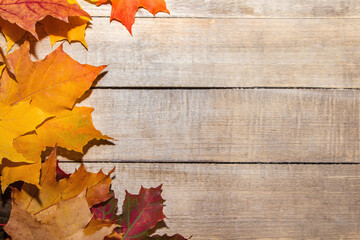 Colorful autumn leaves on a light wooden background