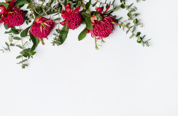 Beautiful floral flat-lay arrangement of Australian native red waratah flowers and eucalyptus leaves, creating a border on a rustic white background.  Space for copy.