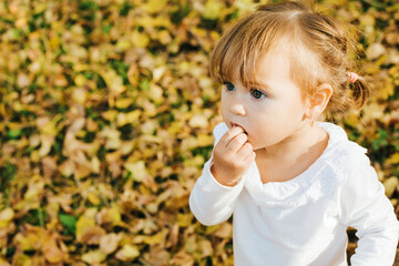 Portrait of a little girl. Beautiful autumn in the park. Bright sunlight. Hands on the face.