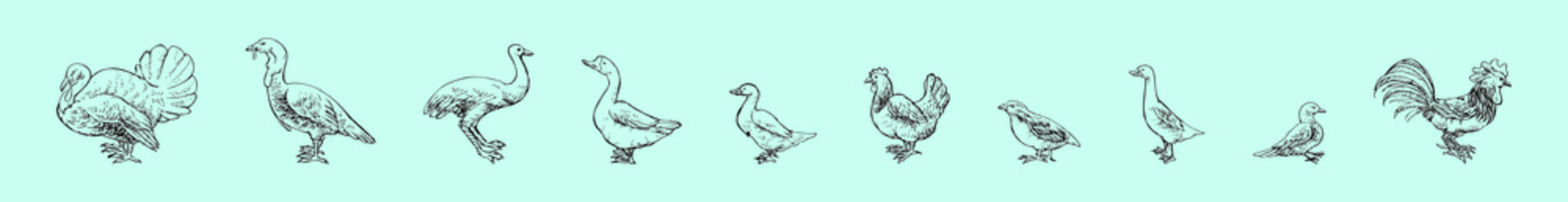 set of poultry cartoon icon design template with various models. vector illustration isolated on blue background