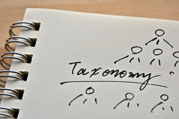 At the edge of the notebook, "Taxonomy" is written. Close-up.