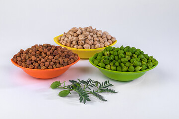 Fresh green Chickpea with dried Chickpea.