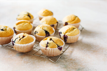 Homemade muffins with blueberries