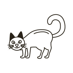 halloween cat black line style icon