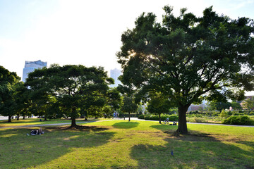 赤レンガパークの涼しげな木陰で休む人