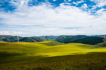 Obraz premium Bashang grassland pasture scenery in Hebei Province, China