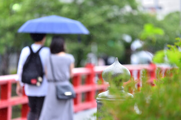 雨の日の小田原城学橋