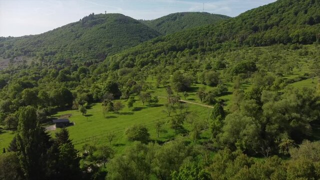 Streuobstwiesen, gef&auml;hrdeter Lebensraum im Rheintal bei Boppard-Buchenau
