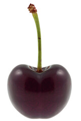 Cerise sur fond blanc 